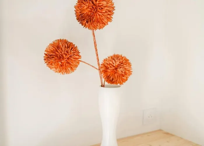 Maison Spacieuse Et Jardin Proche Soulages Wisdhomeconciergerie *